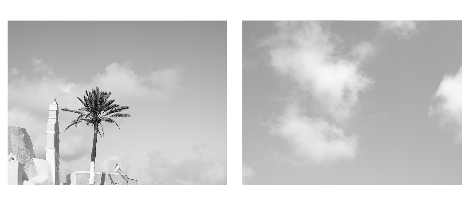 H&C D #07