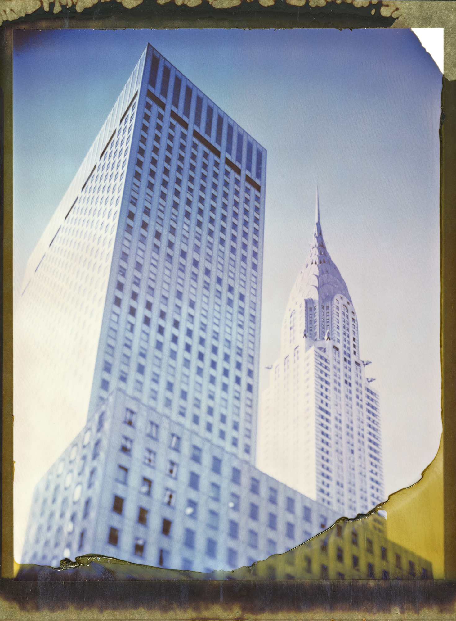AmPola_382 001